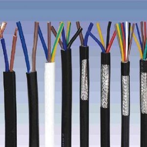 ������|����|���N��е�һ�N��ʲô�ǿ�����|��